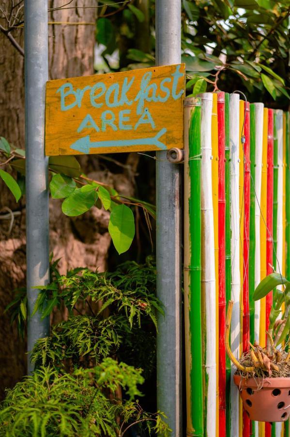 5 Coconut Villa ホイアン エクステリア 写真