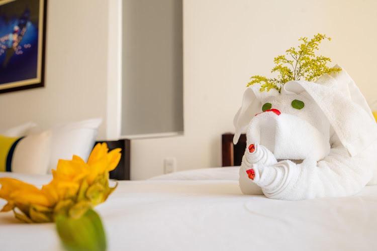 5 Coconut Villa ホイアン エクステリア 写真